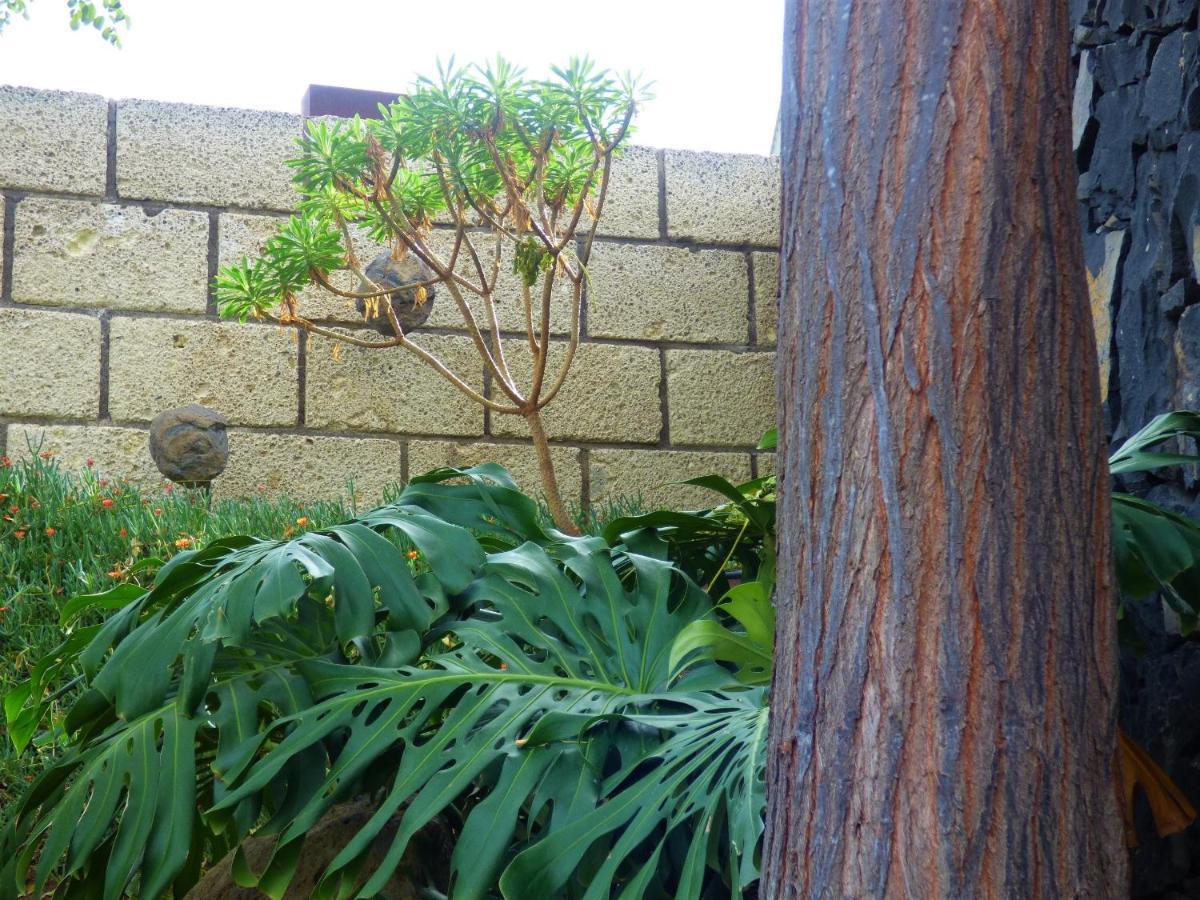 Eco Suites Caves Las Lagunas Exterior photo